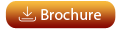 brouchre-download-button